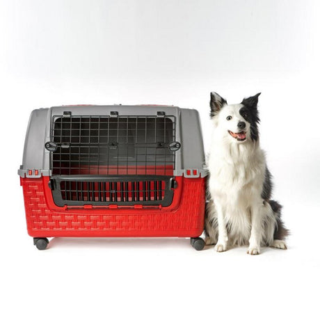 Bama caisse de transport pour animaux à roulettes 88x52x60 cm rouge gris