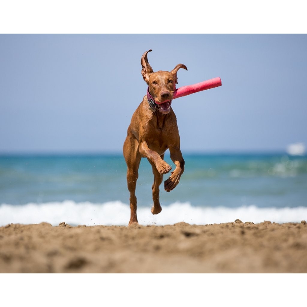 Bama tuttomio bâton de jeu en caoutchouc 11x4x37 cm assorti