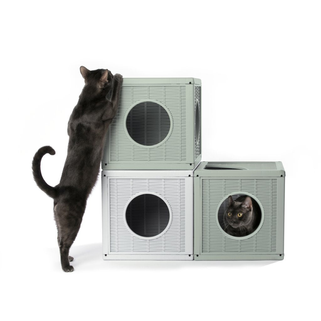 Bama pet qublo chat cube 35x35x35 cm vert sauge