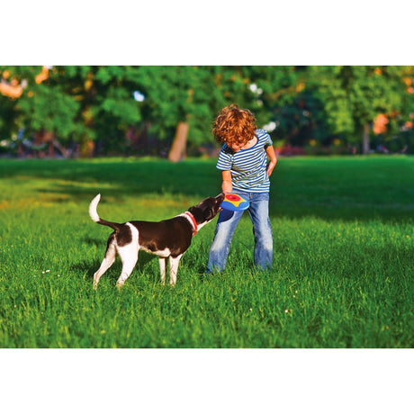 Bama pet trotto disque jouet pour chien 24,5x4,5 cm bleu jaune rouge