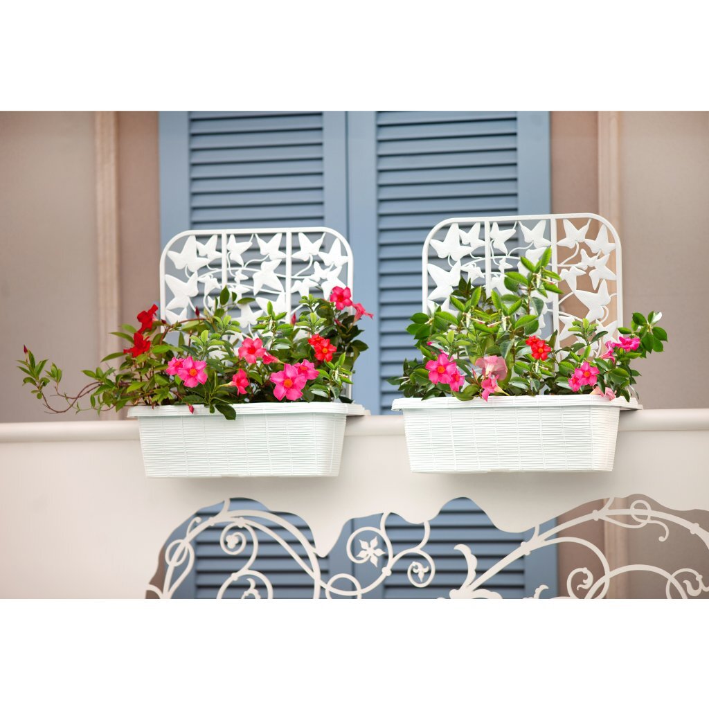 Bama fioriera jardinières de balcon intimité 60x22x64 cm 2 pièces blanc
