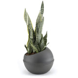 Pot de fleur Bama sfera 23l 40,5x32 cm anthracite