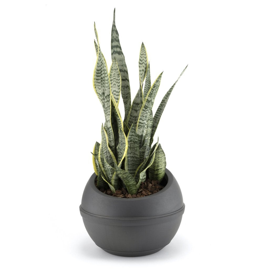 Pot de fleur Bama sfera 23l 40,5x32 cm anthracite