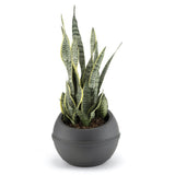 Pot de fleur Bama sfera 23l 40,5x32 cm anthracite