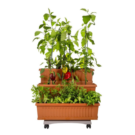 Bama orto di kit jardinières 80x74x73 cm terre cuite