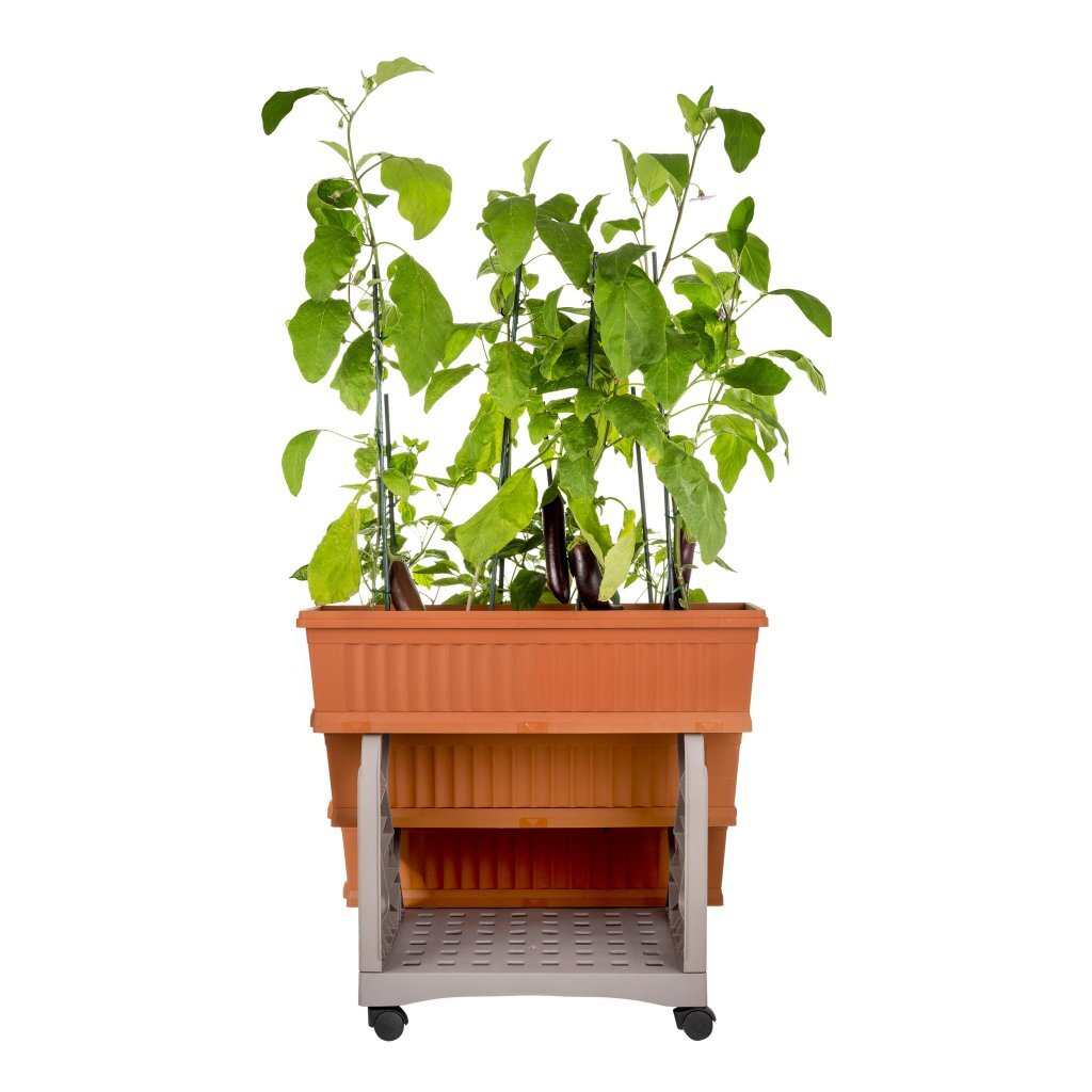 Bama orto di kit jardinières 80x74x73 cm terre cuite