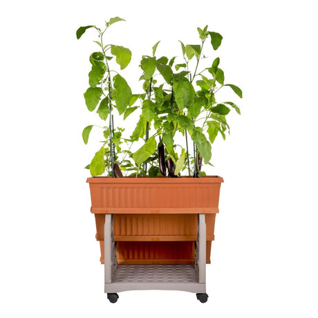 Bama orto di kit jardinières 80x74x73 cm terre cuite