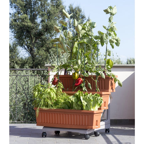 Bama orto di kit jardinières 80x74x73 cm terre cuite