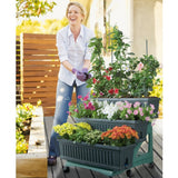 Bama orto di kit jardinières 80x74x73 cm vert