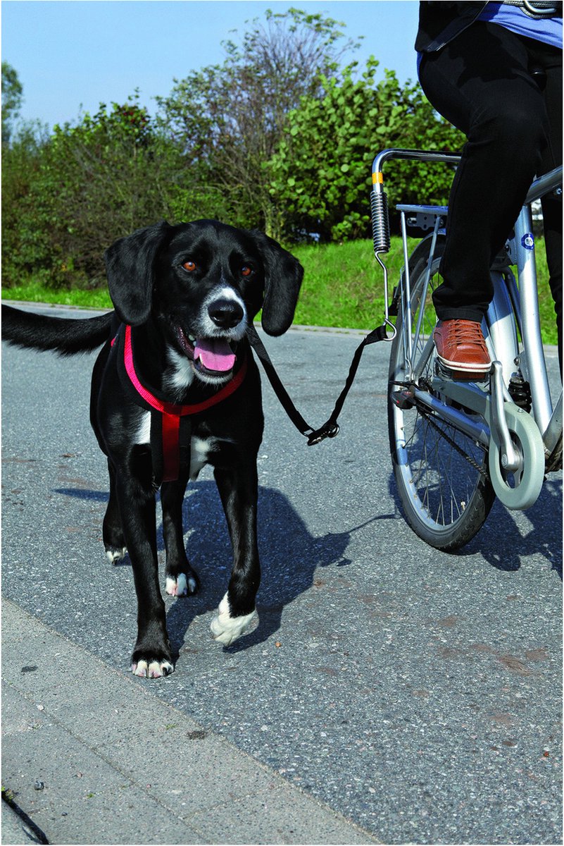 Trixie biker set support de vélo - faire du vélo avec un chien - 1 pièce