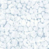NOORDWAND Fond d'écran aquarelles à feuilles persistantes blanches et bleues