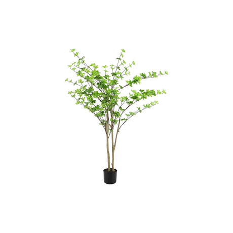 Countryfield plant dysosma pleiantha 150cm groen