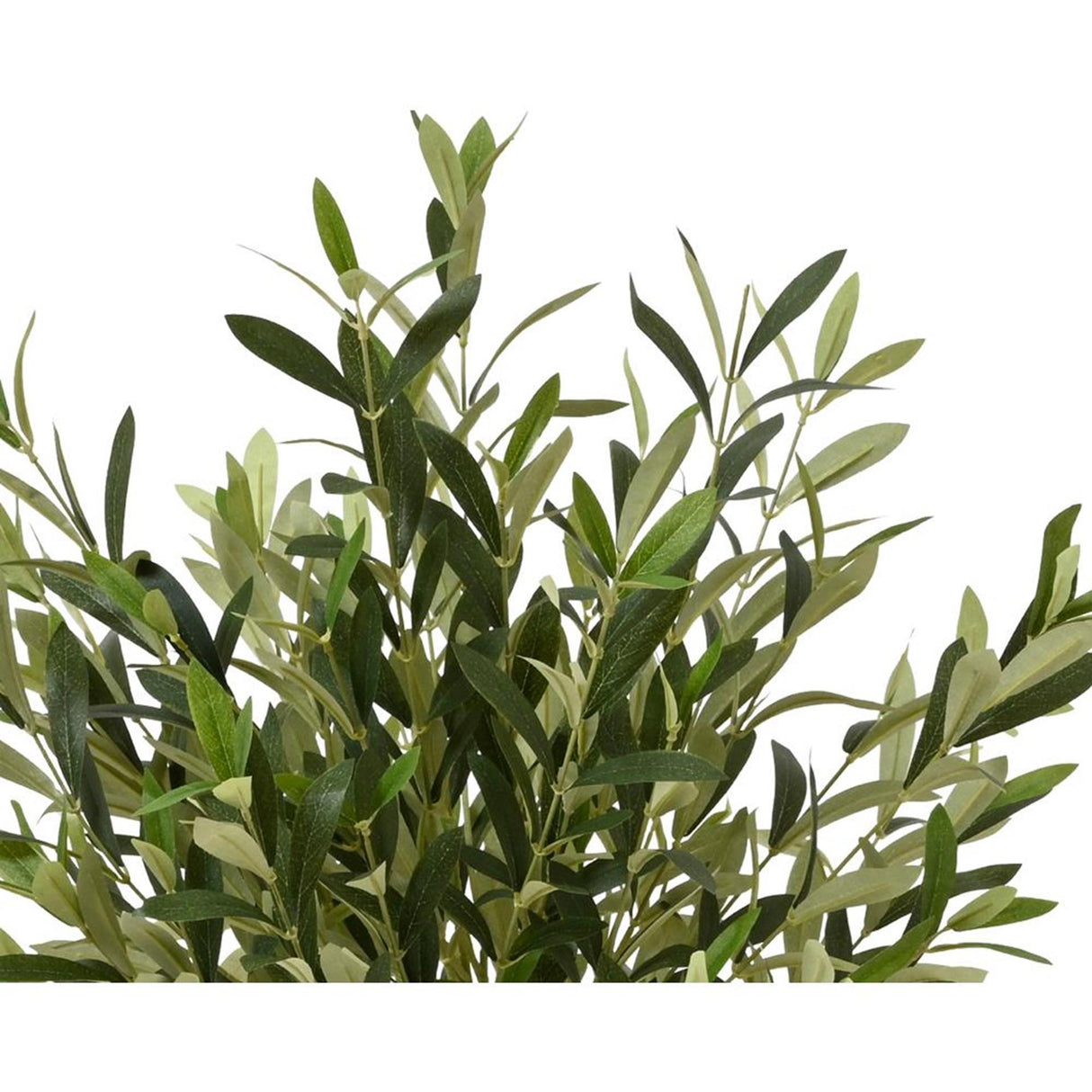 Décoris