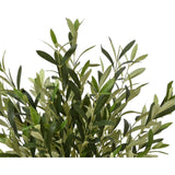 Décoris