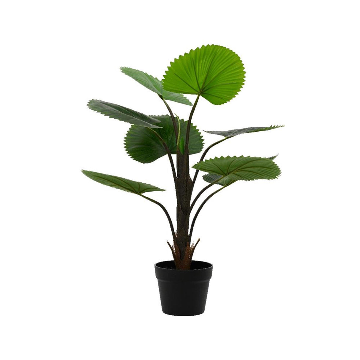 Decoris plante artificielle palmier licuala h75cm