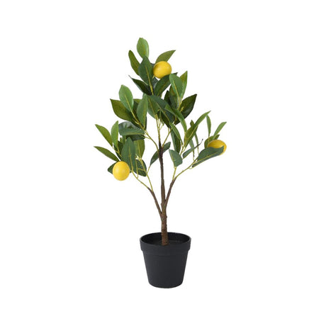 Citronnier Decoris en pot polyester dia.24x60cm