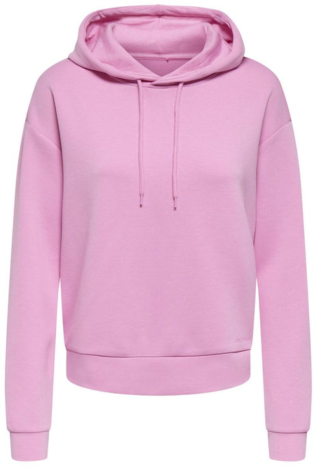 Ne jouez qu'à un sweat à capuche sur un sweat-shirt plongeant
