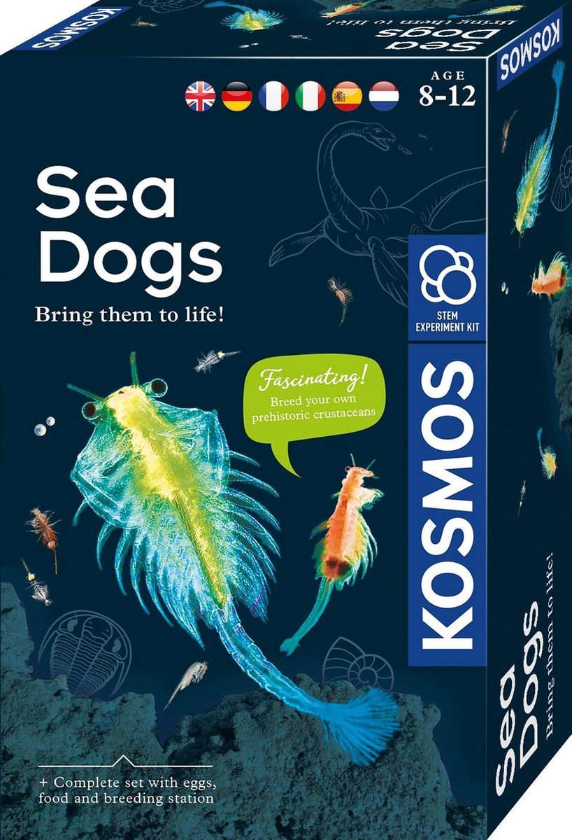 Loups de mer Kosmos – kit d'expérimentation – élevez vos propres crevettes de saumure – comprenant des œufs, du sel et une loupe – découvrez les créatures d'eau salée