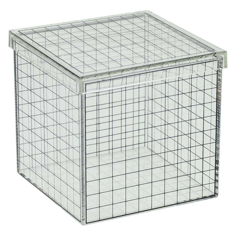 Cube grille 3D transparent pêche Albatros - 10x10x10 cm