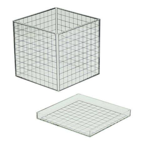 Cube grille 3D transparent pêche Albatros - 10x10x10 cm