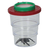 Pot à insectes avec loupe