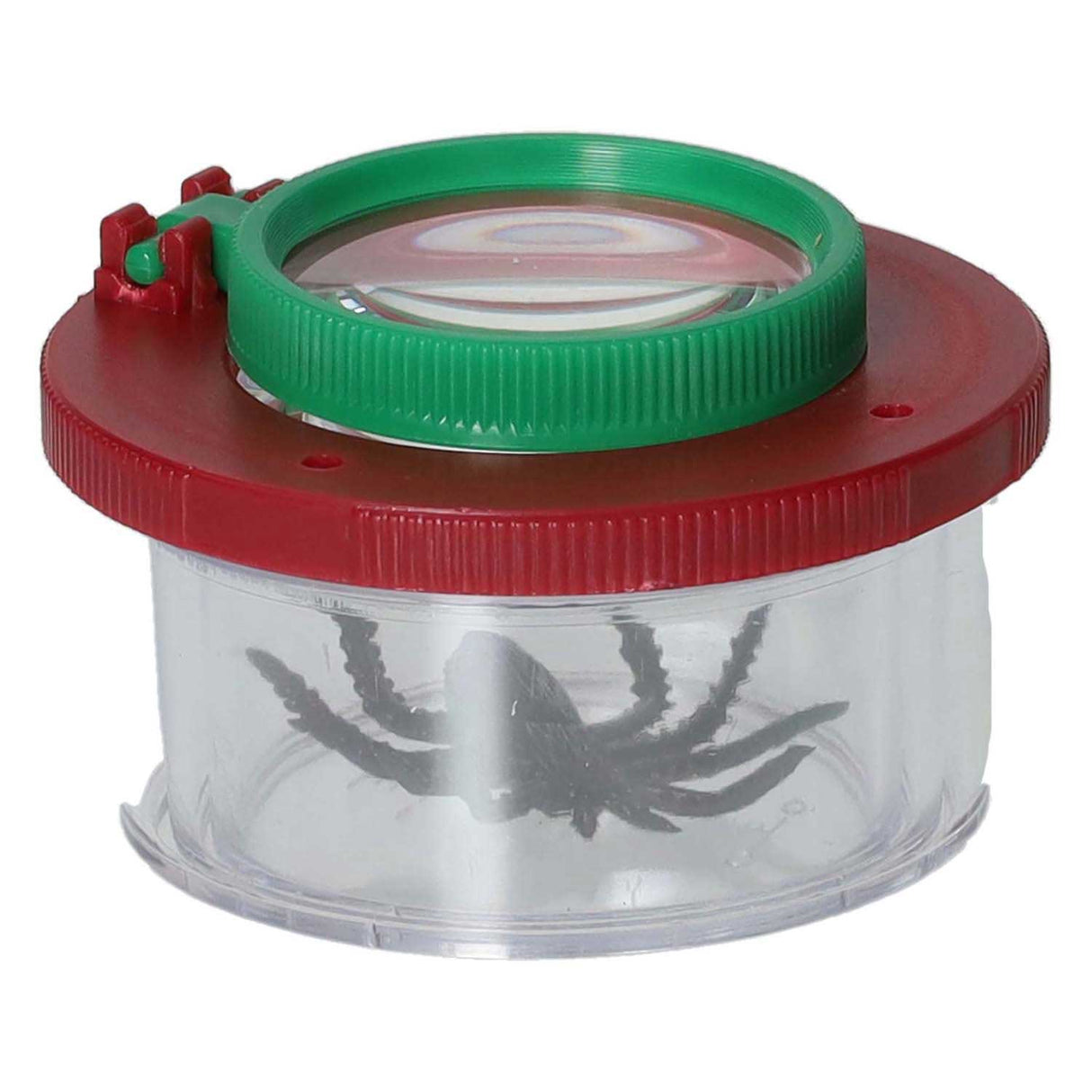 Pot à insectes avec loupe