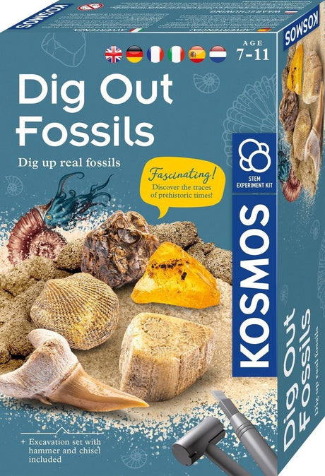 Découper des fossiles du cosmos