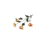 Countryfield kunsttak chrysanthemum beige 20xh83,8cm