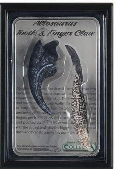 Coffret cadeau figurine Collecta - dent et doigt d'allosaure