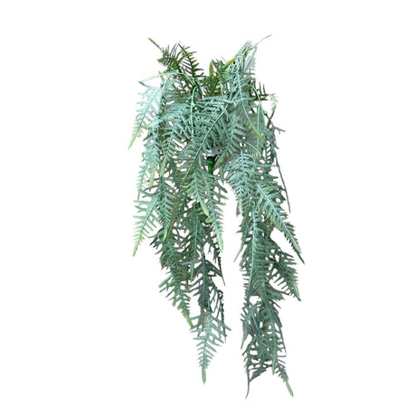 Roberts collection plante artificielle suspendue asparagus plumosus gris poudre 70cm