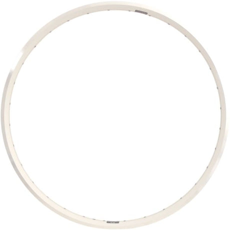 Ryde Velg Zac 2000 28 622 x 19c Aluminium 36 trous 14g argent