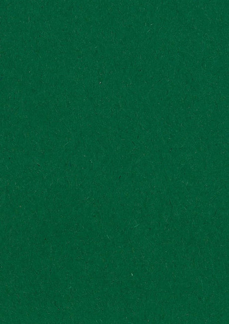 Papier à dessin coloré Gallery vert foncé