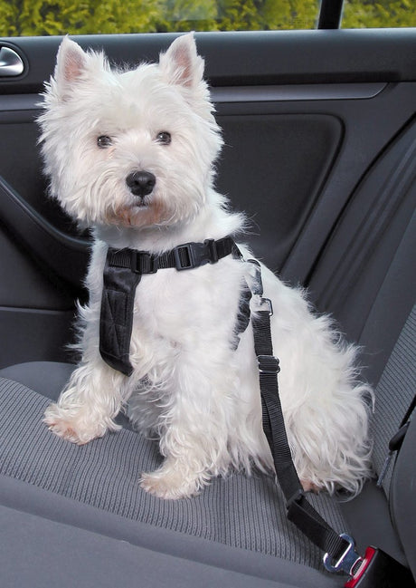Trixie harnais pour chien voiture avec ceinture noir