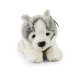 Peluche husky 24 cm écologique