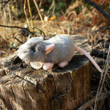 Peluche souris 16 cm écologique