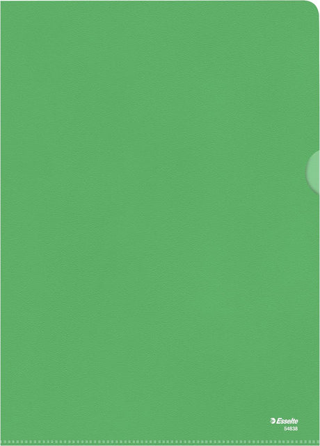 Dossier standard Esselte a4 - feuille pp 0,11 mm - 100 pièces - vert
