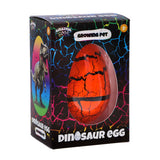 Incroyable œuf de croissance de dinosaure cool 11 cm couleurs assorties