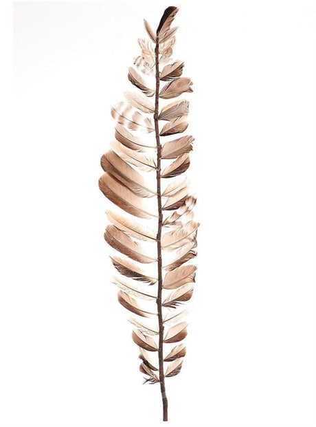 Hbx naturel vivant déco branche plumes aparani 18x60cm