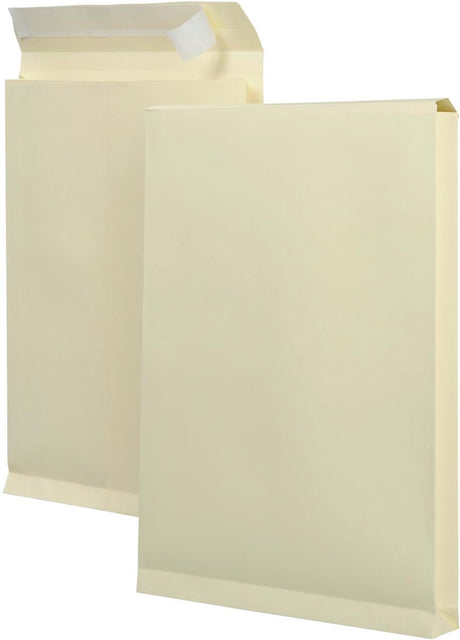 Sacs d'échantillons ft 262 x 371 x 38 mm (125 pièces)