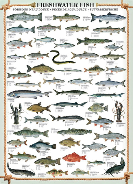 Puzzle Eurographics Pêche - Puzzle de 1000 pièces pour adultes.
