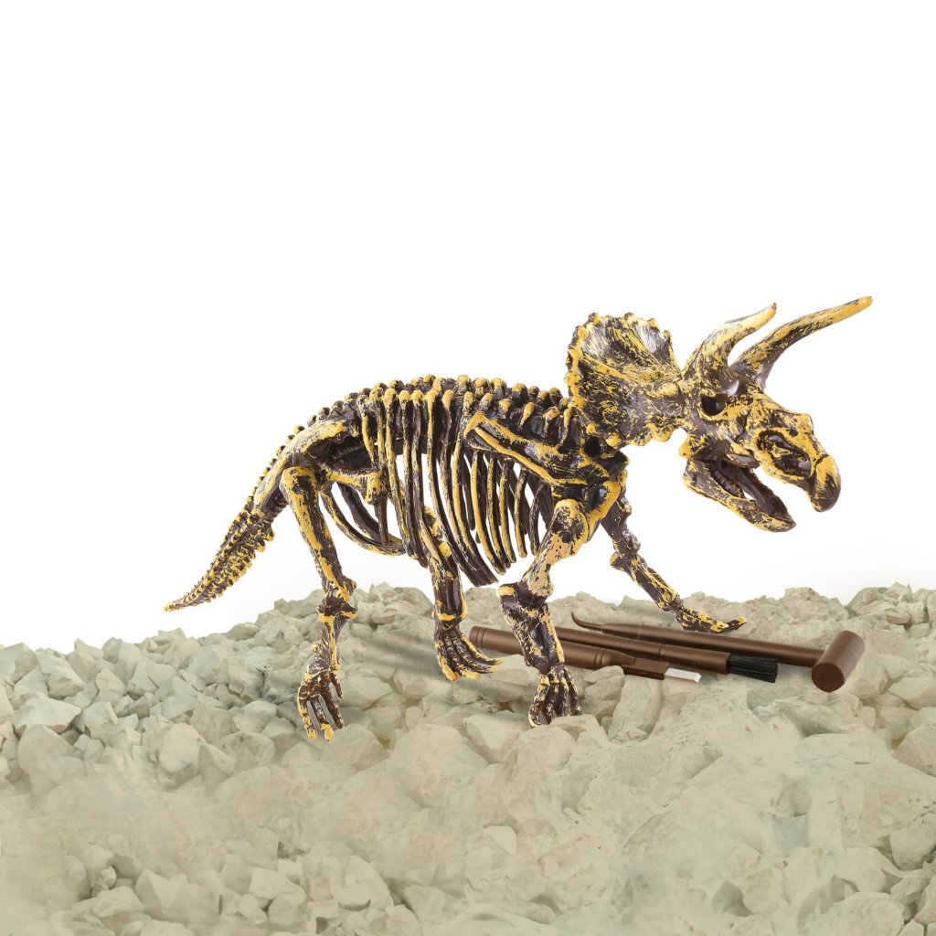 Dinobase Dino 3D Triceratops skjelett