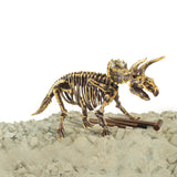 Dinobase Dino 3D Triceratops Skeleton