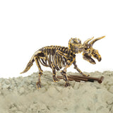 Dino base dinobase dino sculpture tricératops 3d ensemble | 3 pièces