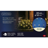 Lumineo Lumineo ledde nätbelysning för Buxus Green Warm White D50cm IP44