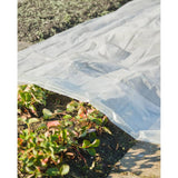 Couverture de la plante naturelle 4x6 m 200 µs transparente