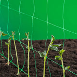 Nature klimnet pour les plantes vertes 2x5 m 6030430