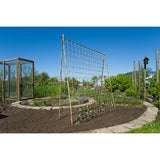 Nature Nature Klimnet za rastline 1,8x5 m Natural