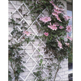 Nature Nature Garden slat work 50x150 cm PVC White 6040701