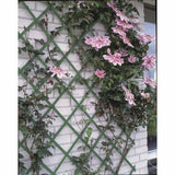 Nature Garden Slat travail 50x150 cm PVC vert 6040702
