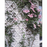 Nature Garden Slat Travail 100x200 cm PVC blanc 6040703